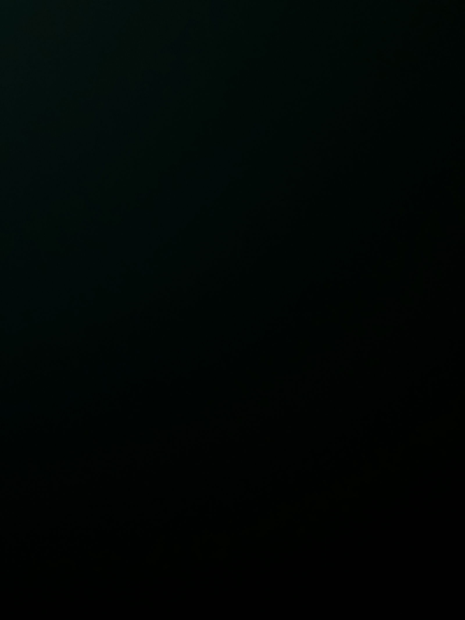 Kitten πΎ profile banner