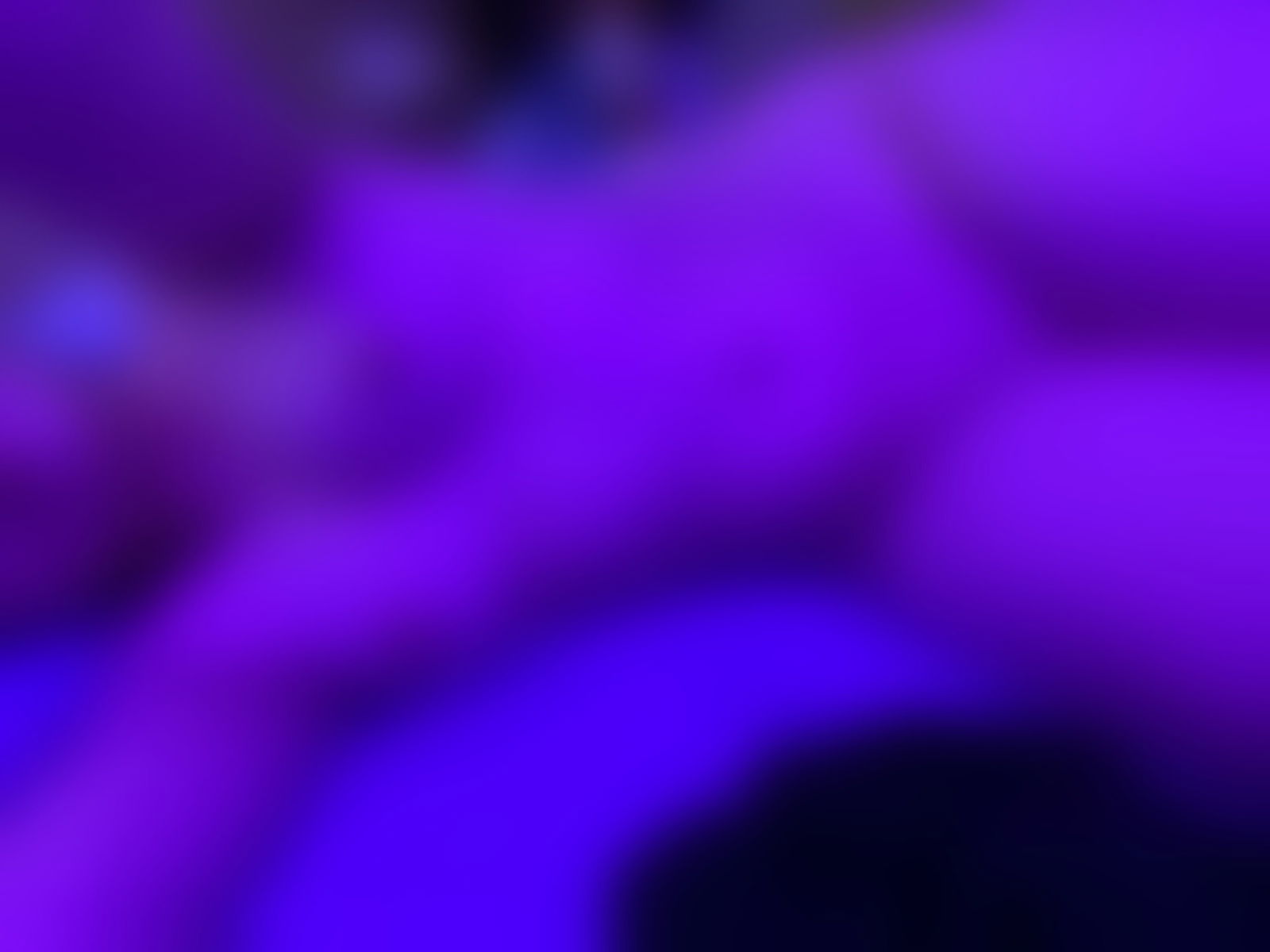Kittina profile banner