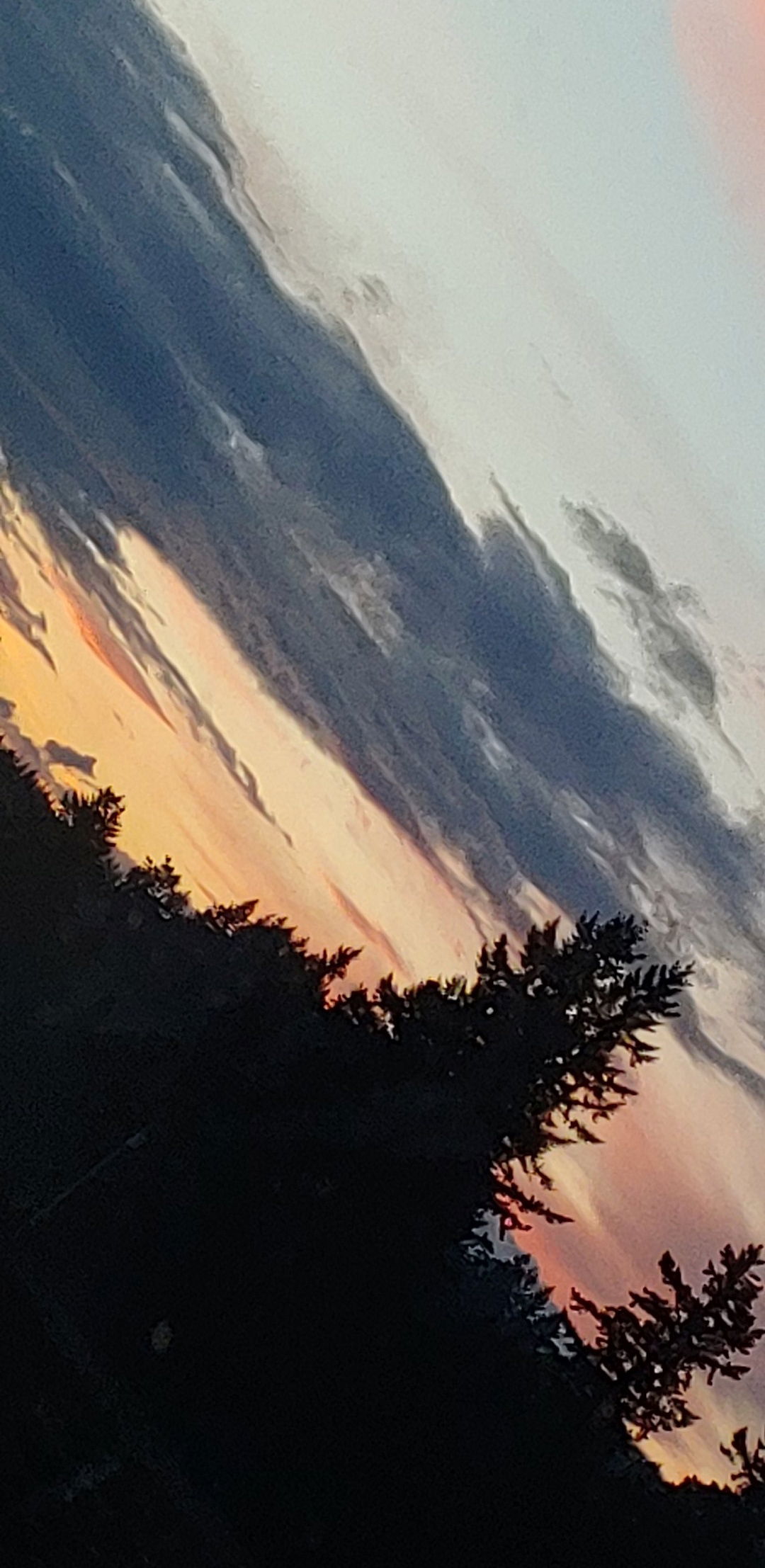 Kitty Marie profile banner