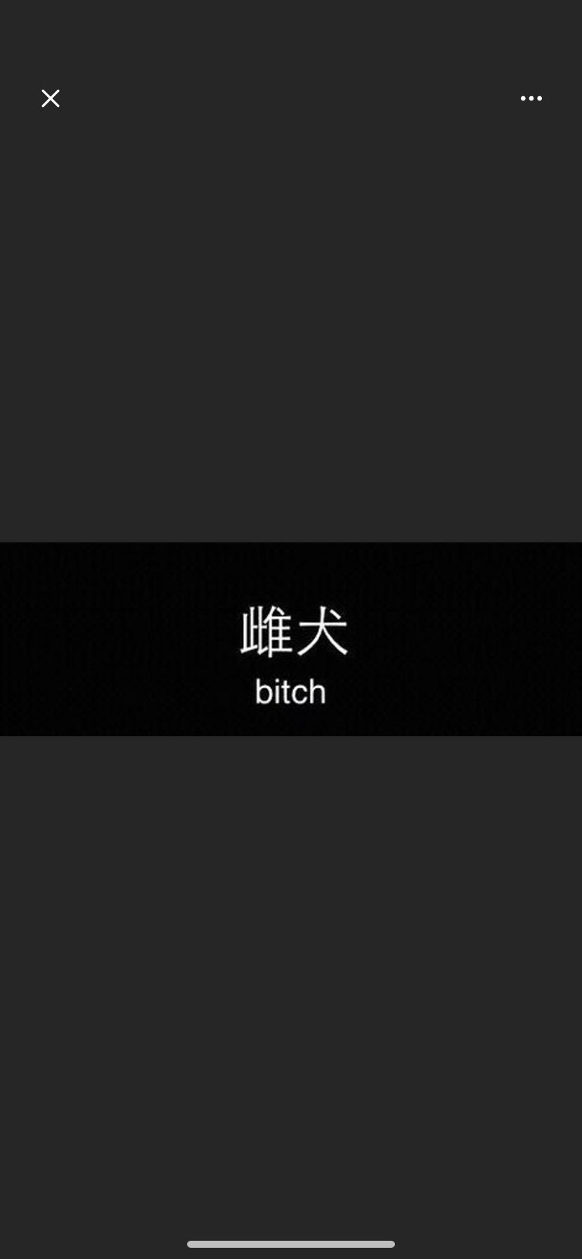Kitty profile banner
