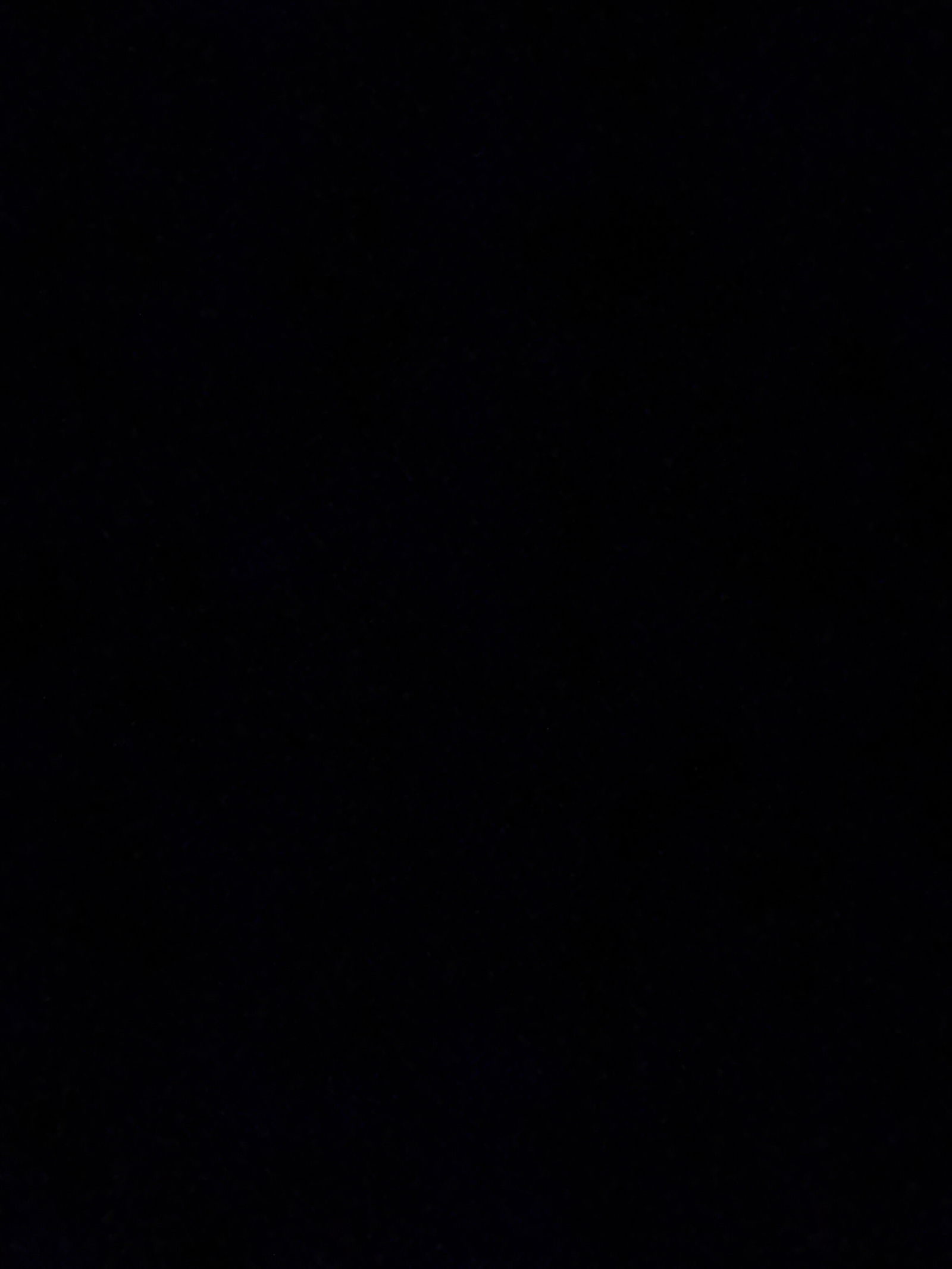 Kittycutie profile banner