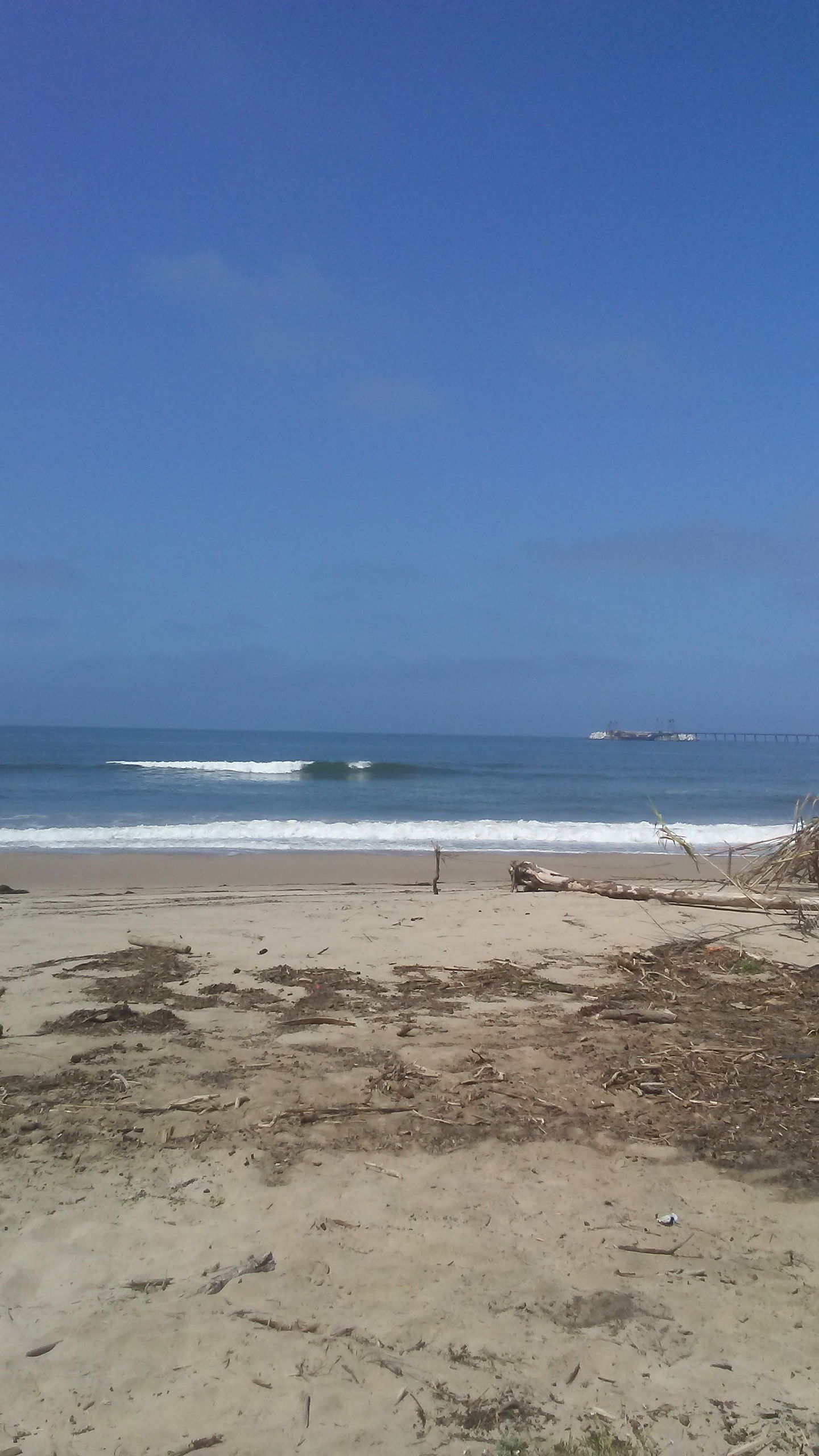 kittyforevercb banner