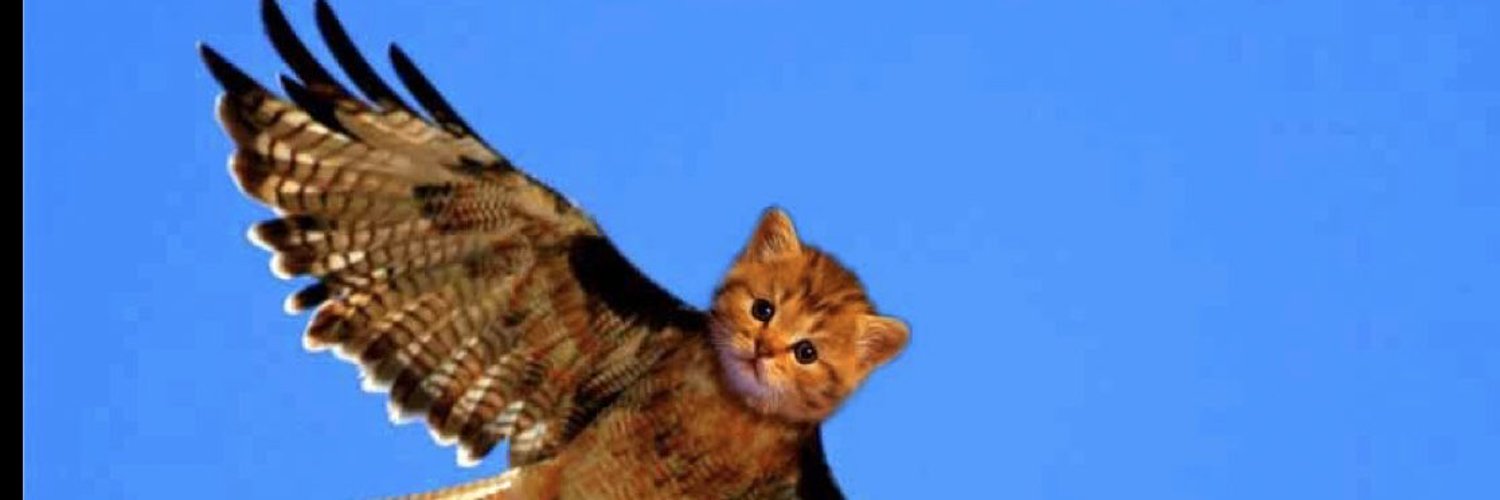 KittyHawk profile banner