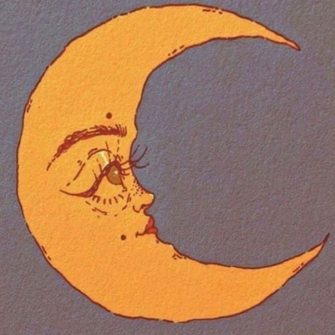 kitty sno profile banner