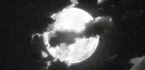 Kitzmeow profile banner