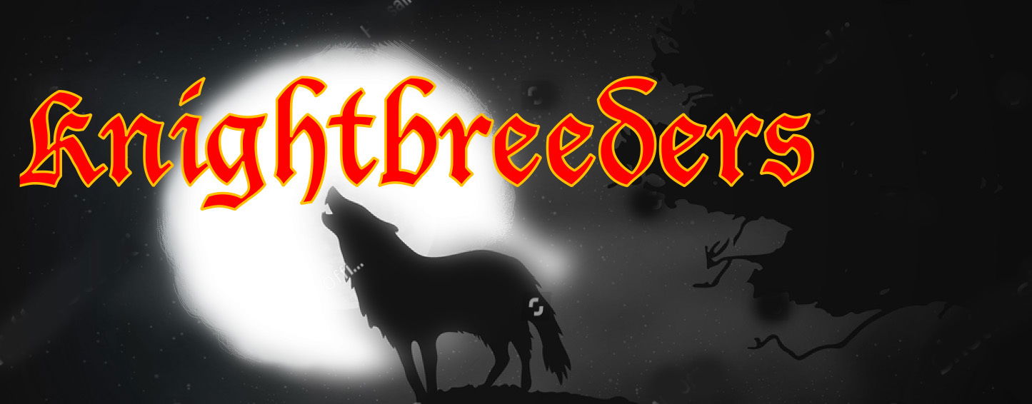 Damien Silver of Knightbreeders profile banner
