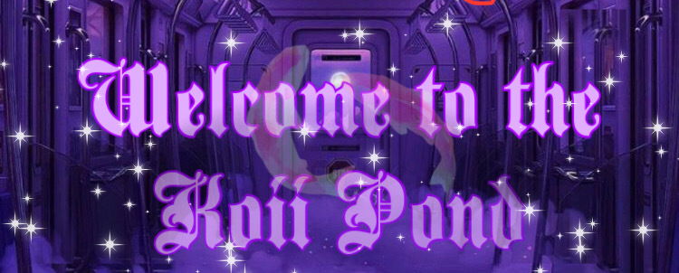 Koii profile banner