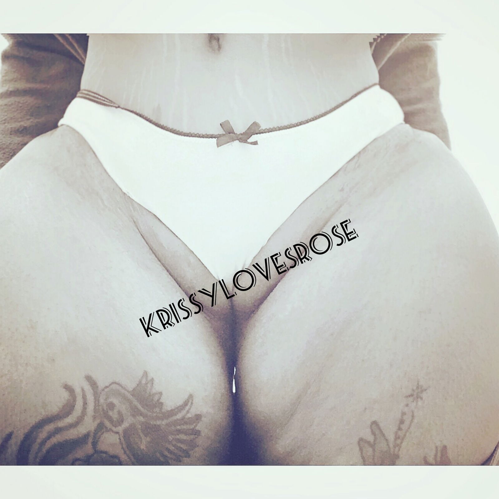 krissylovesroses banner