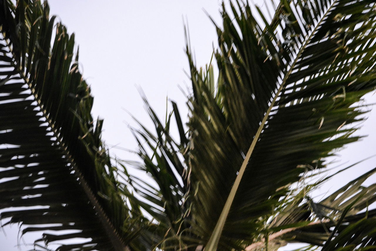 Kristina Lynn profile banner