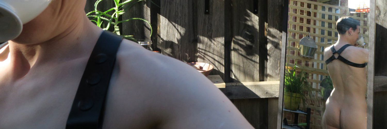 Lio Harring profile banner