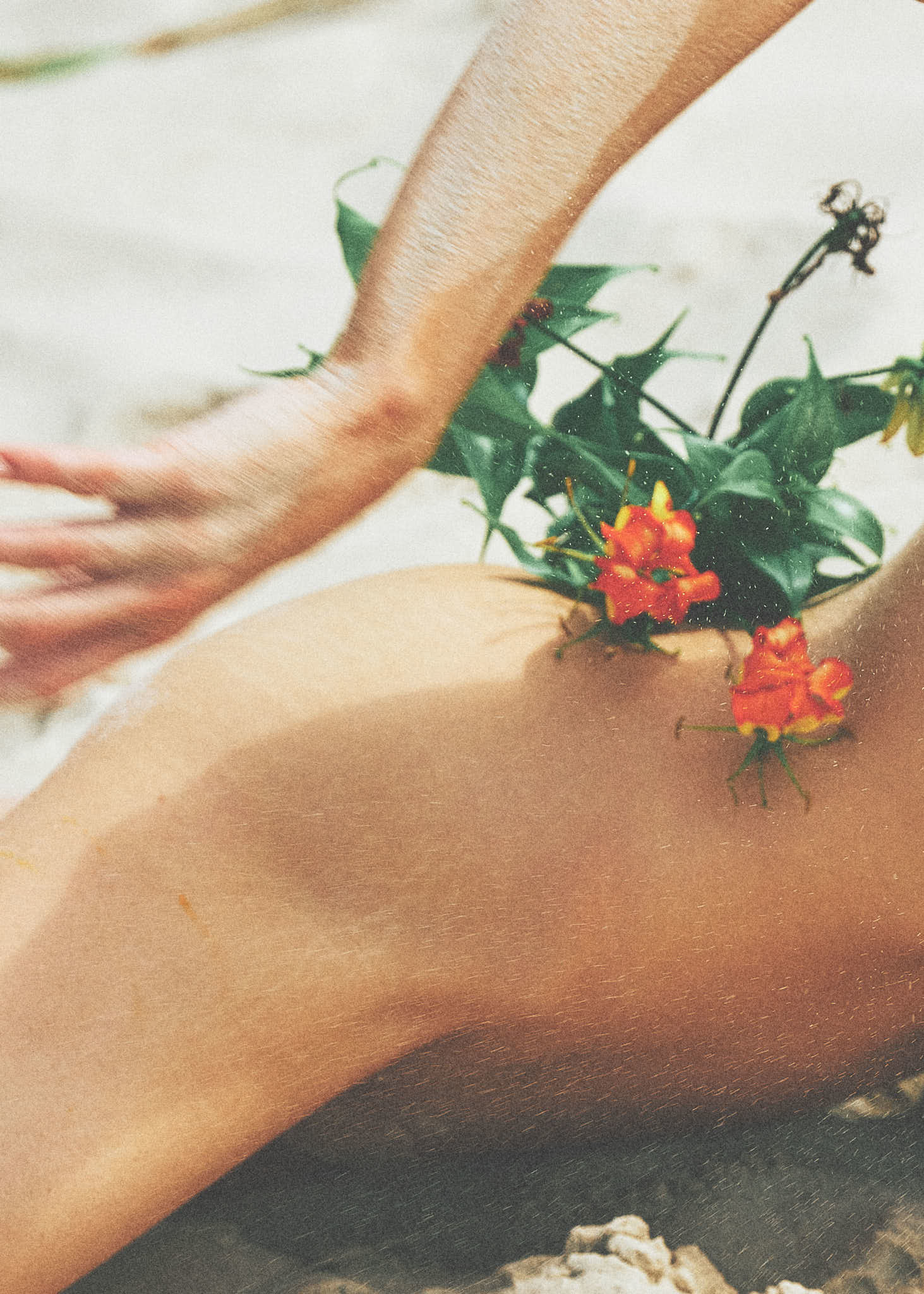 Lissy Jaye profile banner
