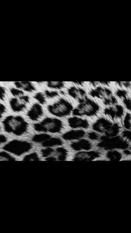 Gigi profile banner