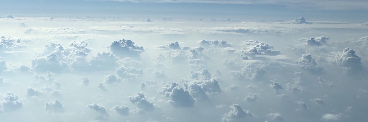 Lacey profile banner