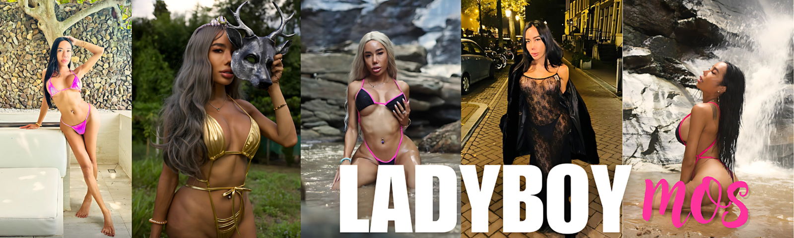 ladyboymos banner