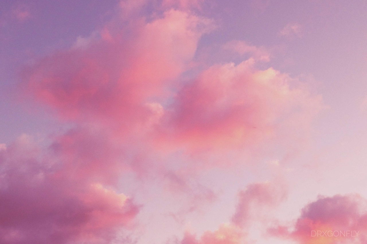 LadyDelta profile banner