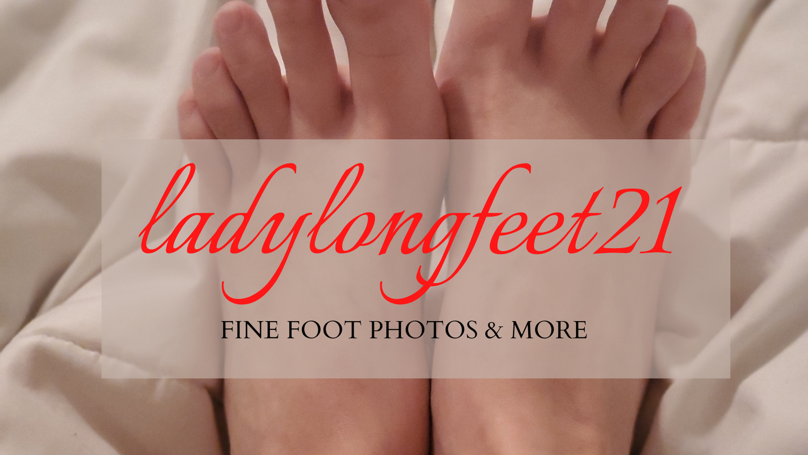 Lady Longfeet profile banner