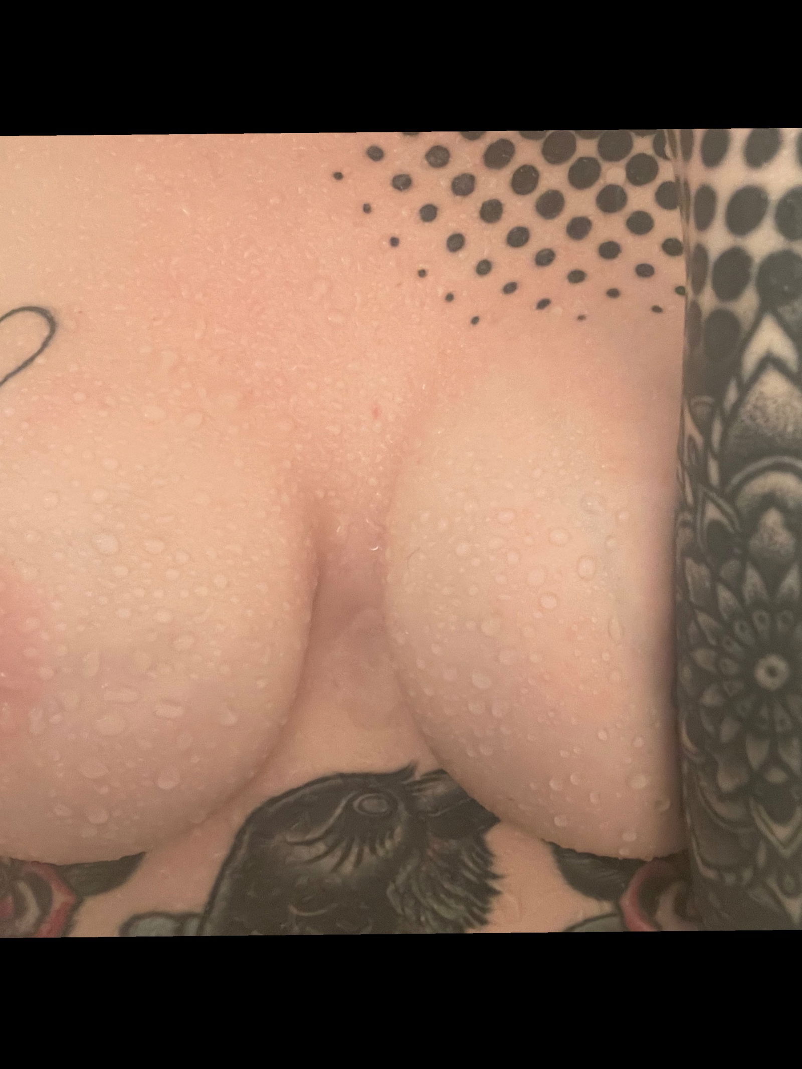 Lady Seitan profile banner