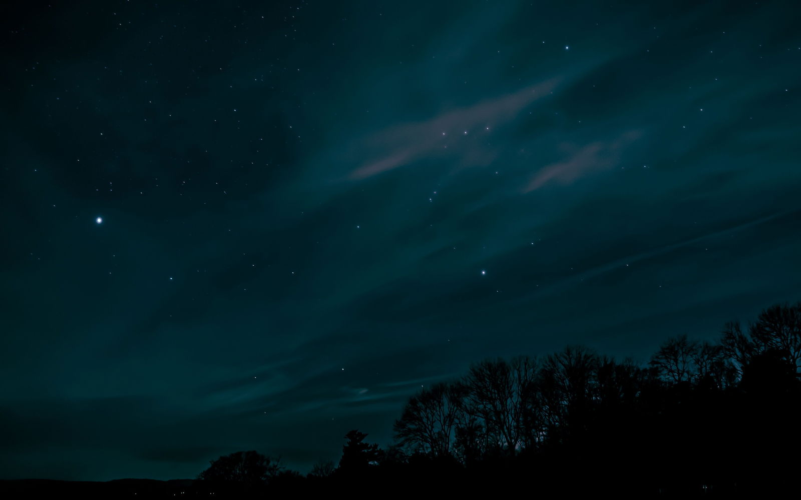 laeticia profile banner