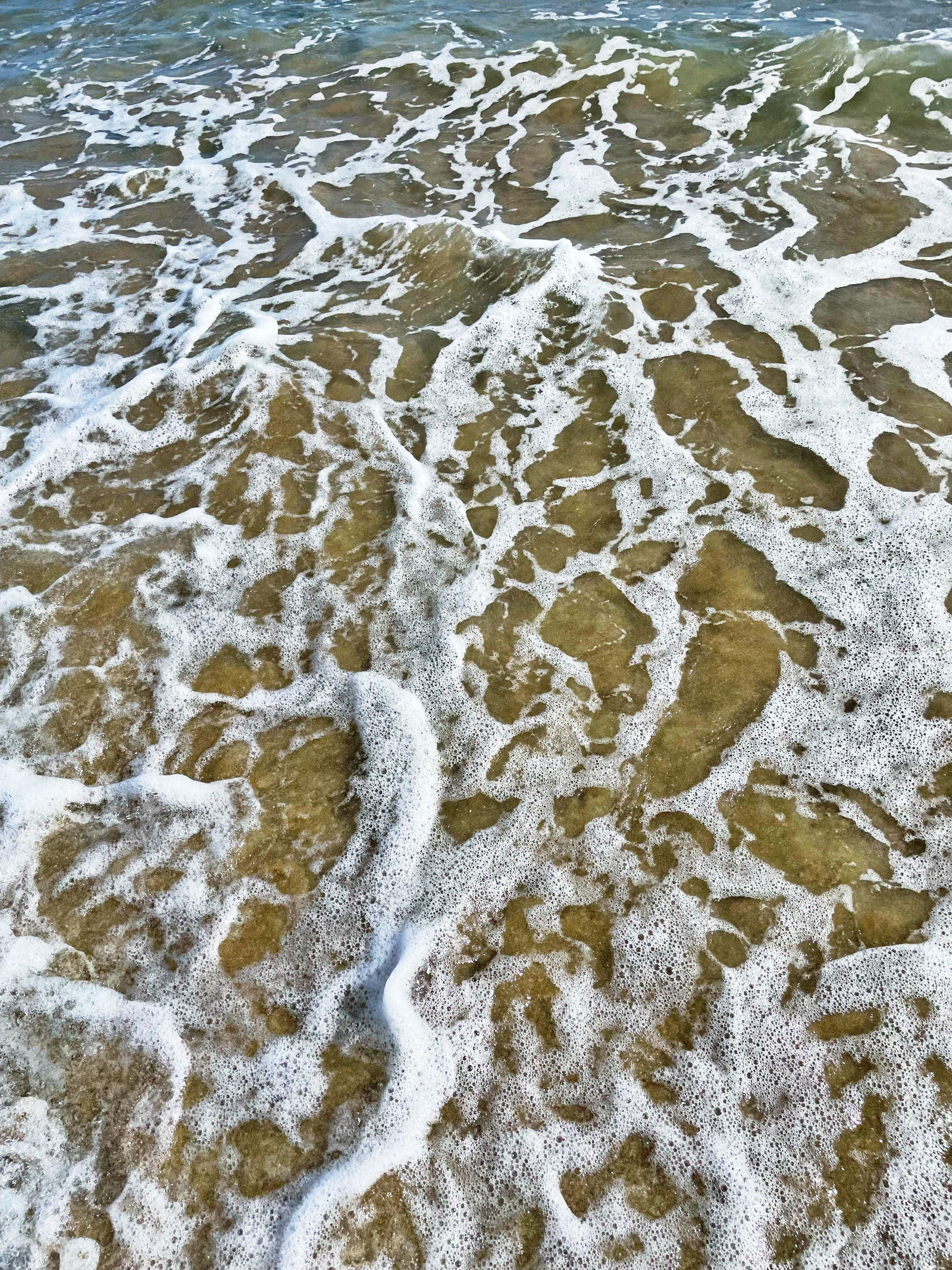 Laidbackbeach profile banner