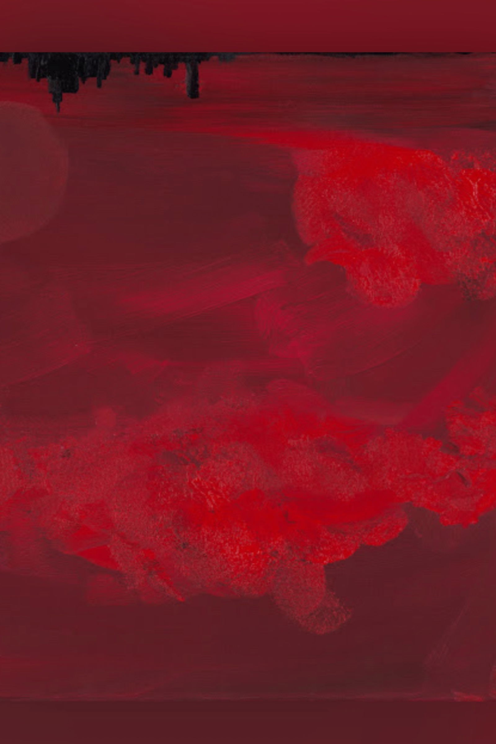 Bubbles profile banner