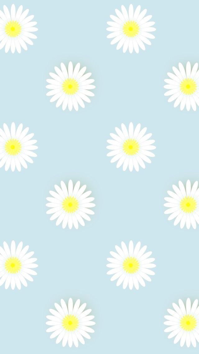 LaMuscBlanc profile banner