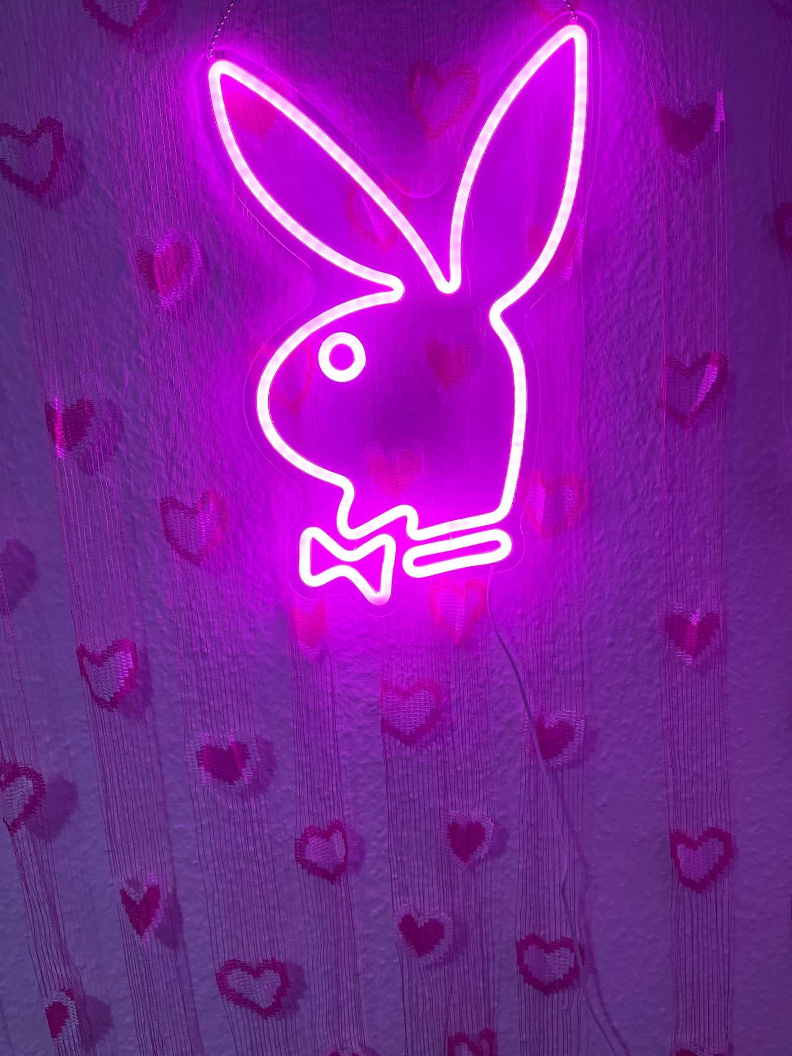 larabttnn banner