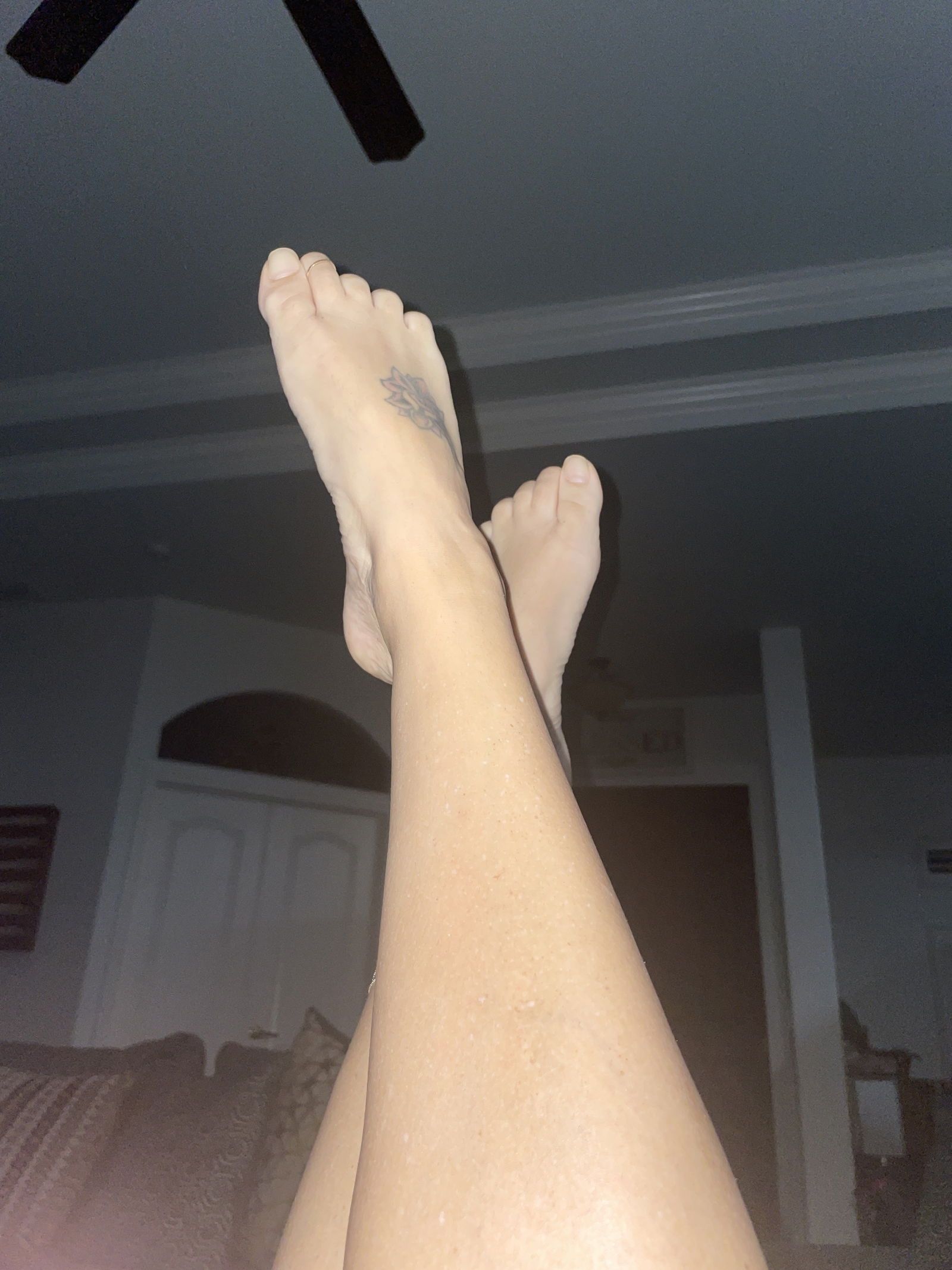 Laura’s Petite Feet profile banner