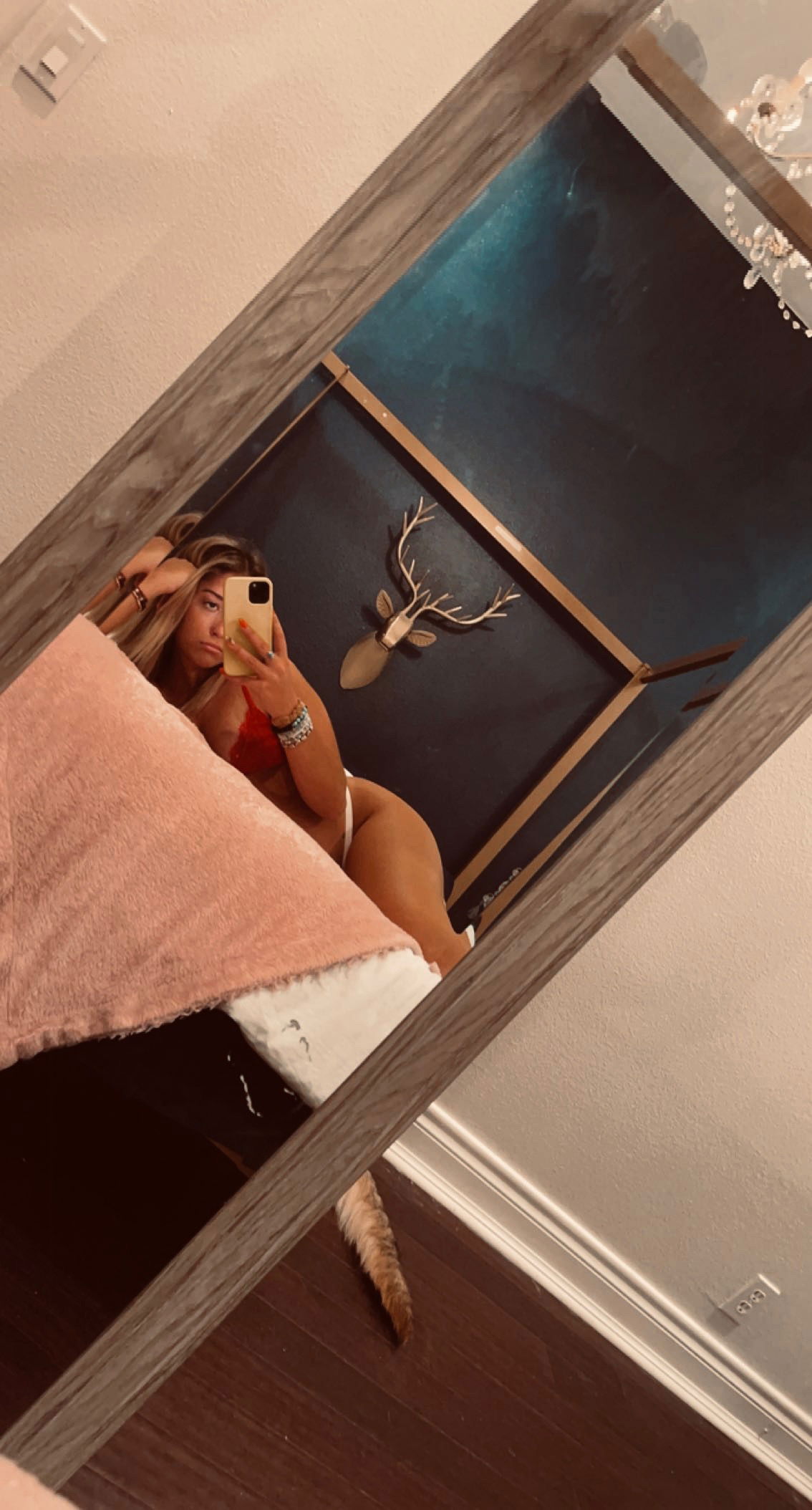 Lauren Lamme profile banner