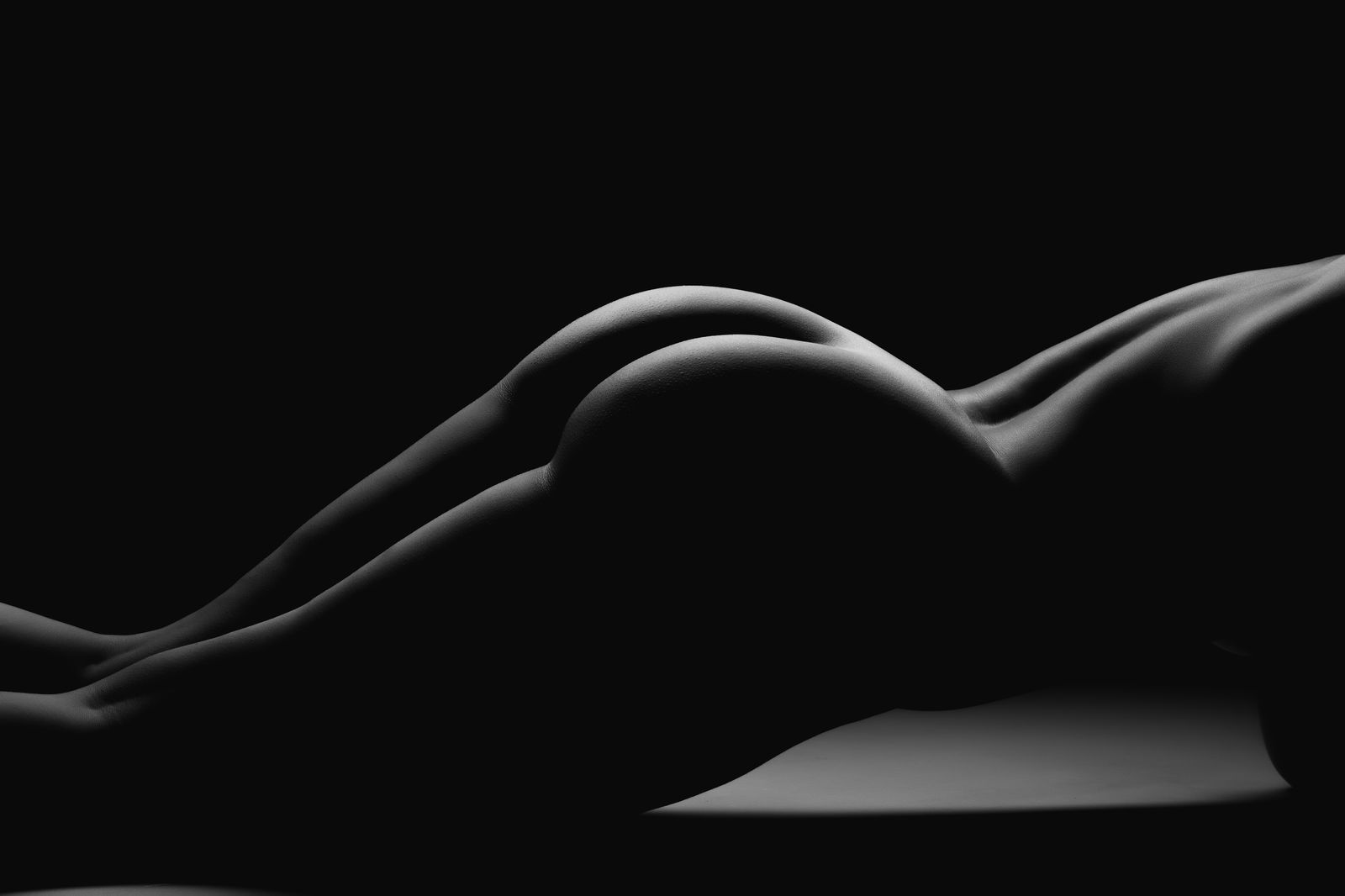 Lo profile banner