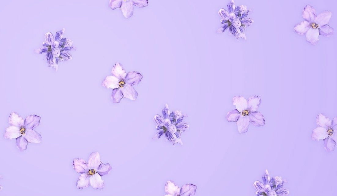 ๐Lav๐ profile banner