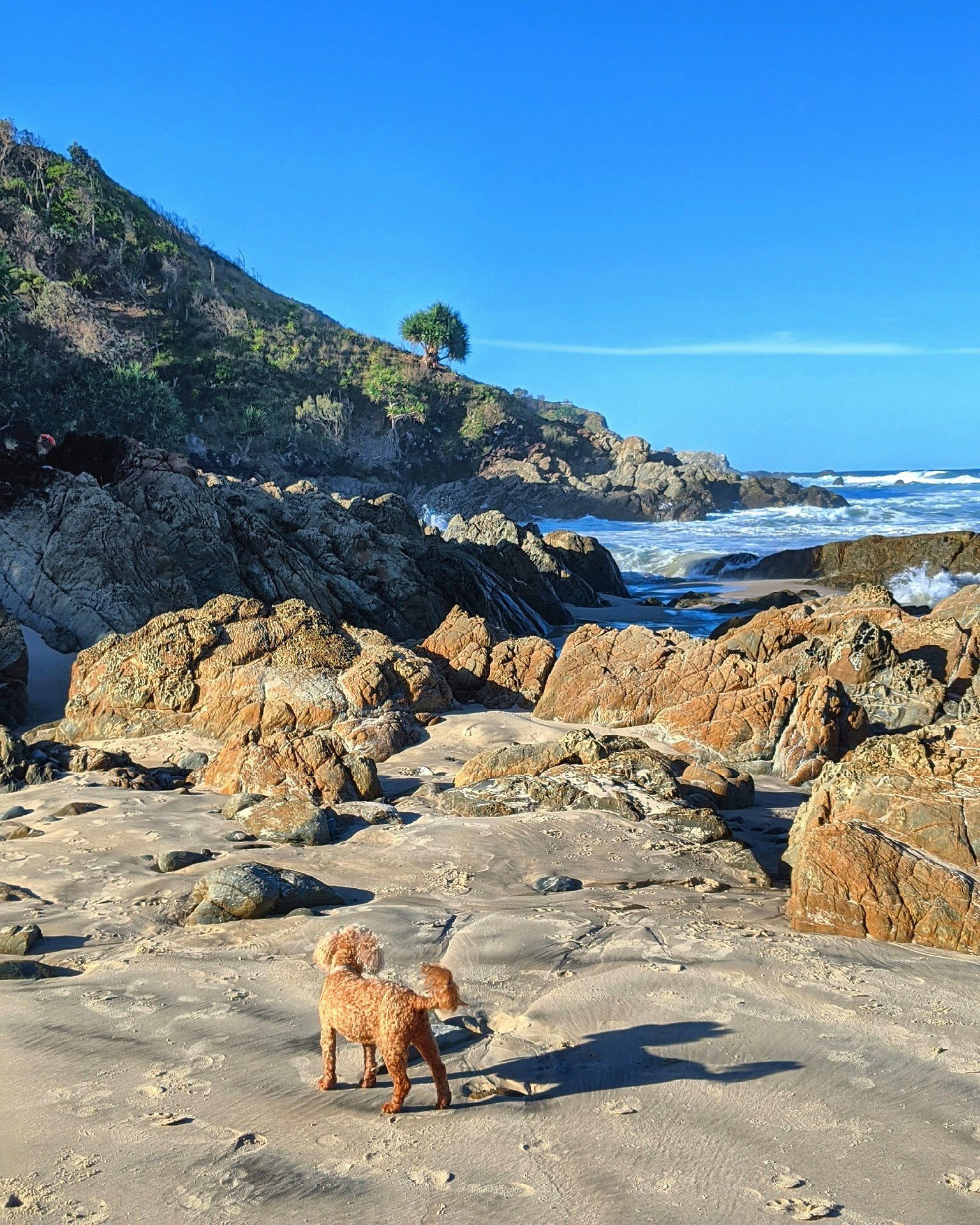 Naked in Nature profile banner