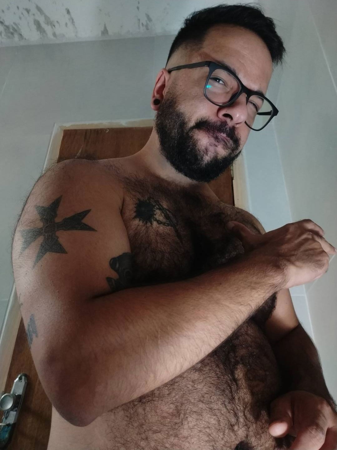 ldbears banner