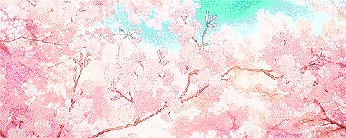 Wawa profile banner