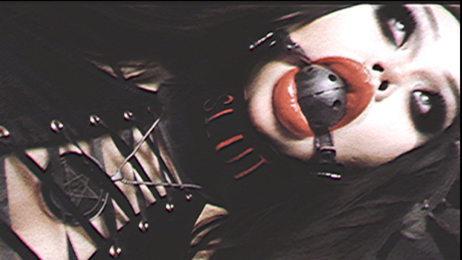 LeileiVon profile banner