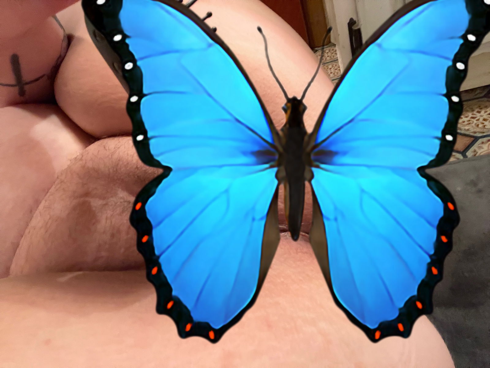 BisexualBrat🏳️🌈😘💲🆓 profile banner