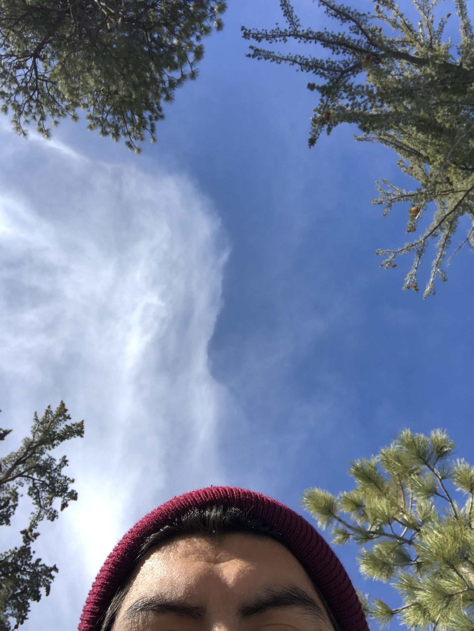Let Me Cum profile banner