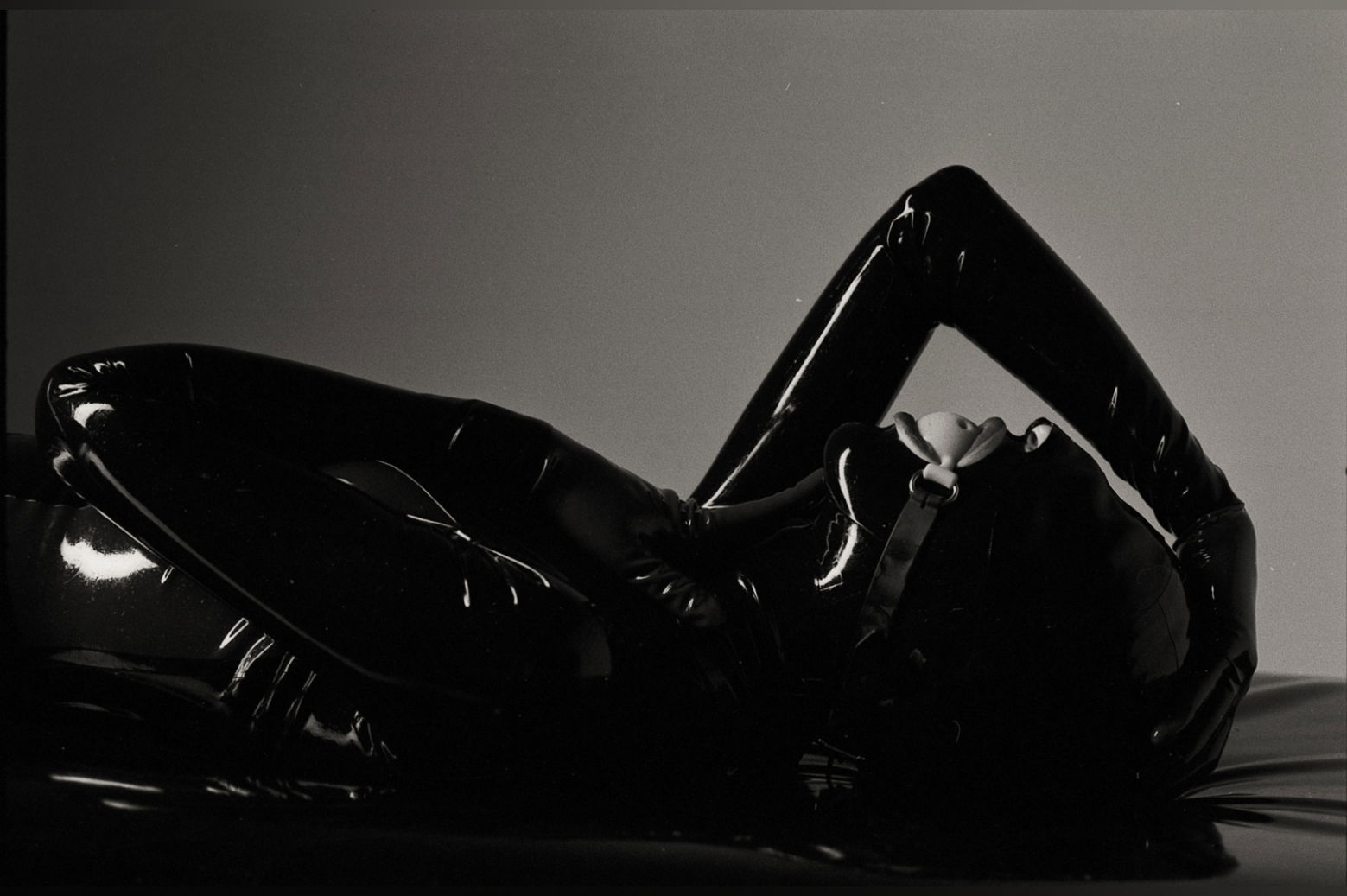 Hella profile banner