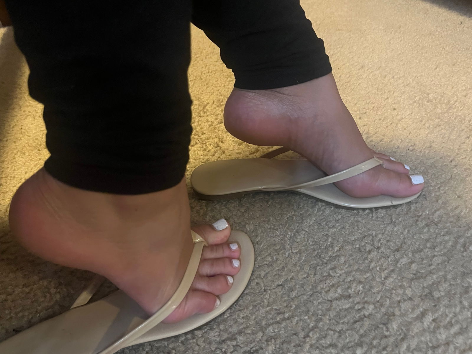 Lexi Hart profile banner