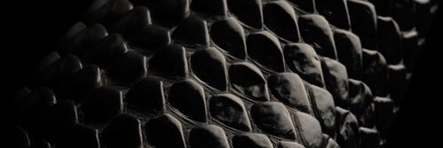 lexiidomme banner