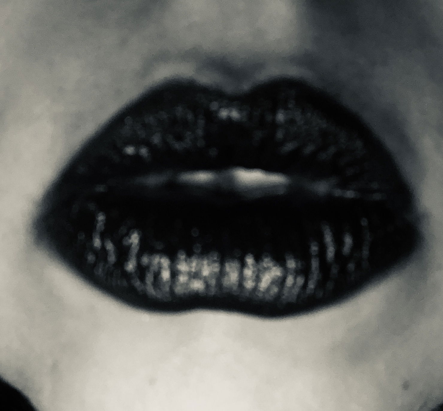 Lexi profile banner