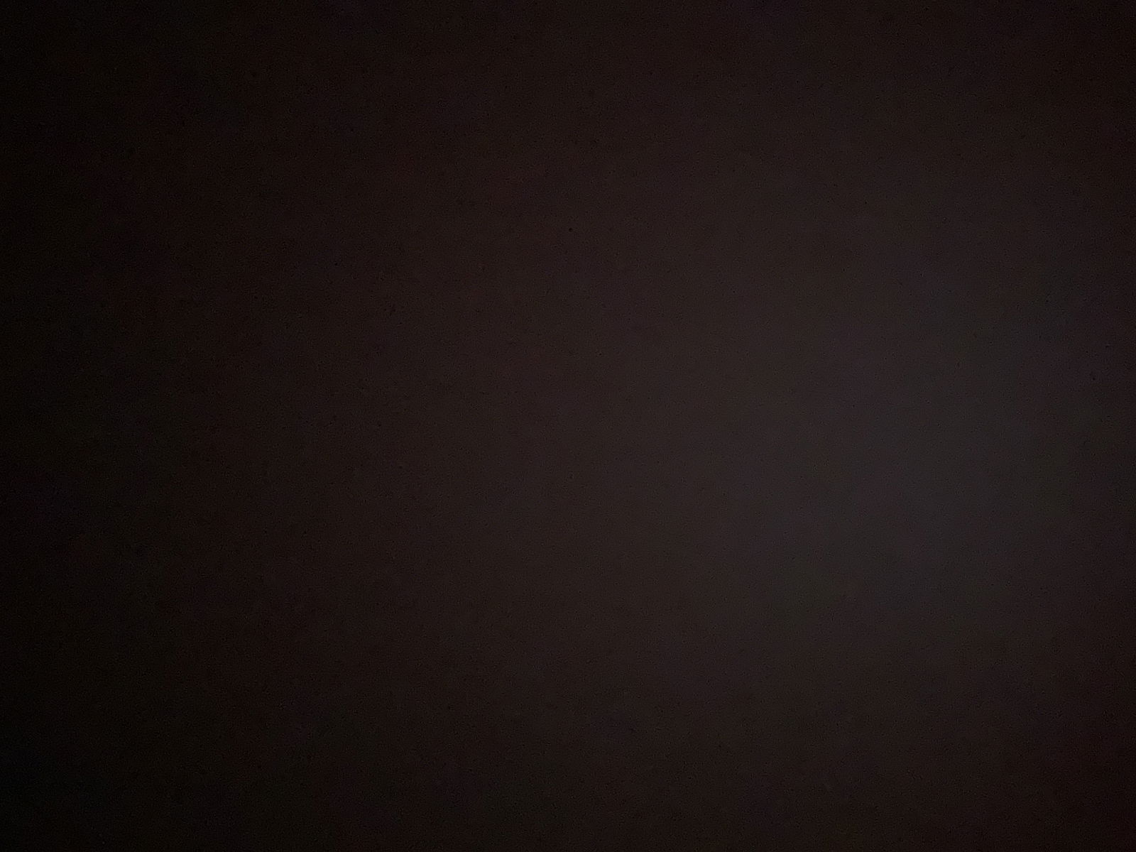 Alexis profile banner