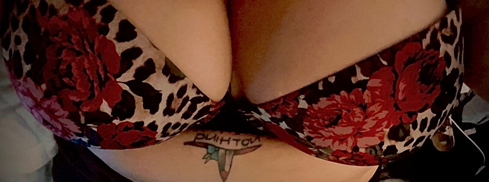 Lexi profile banner