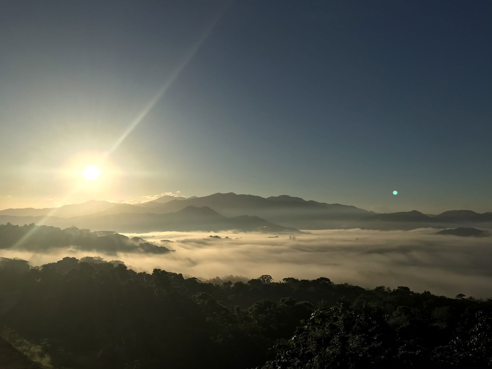 LeYardi🌞🇯🇲 profile banner