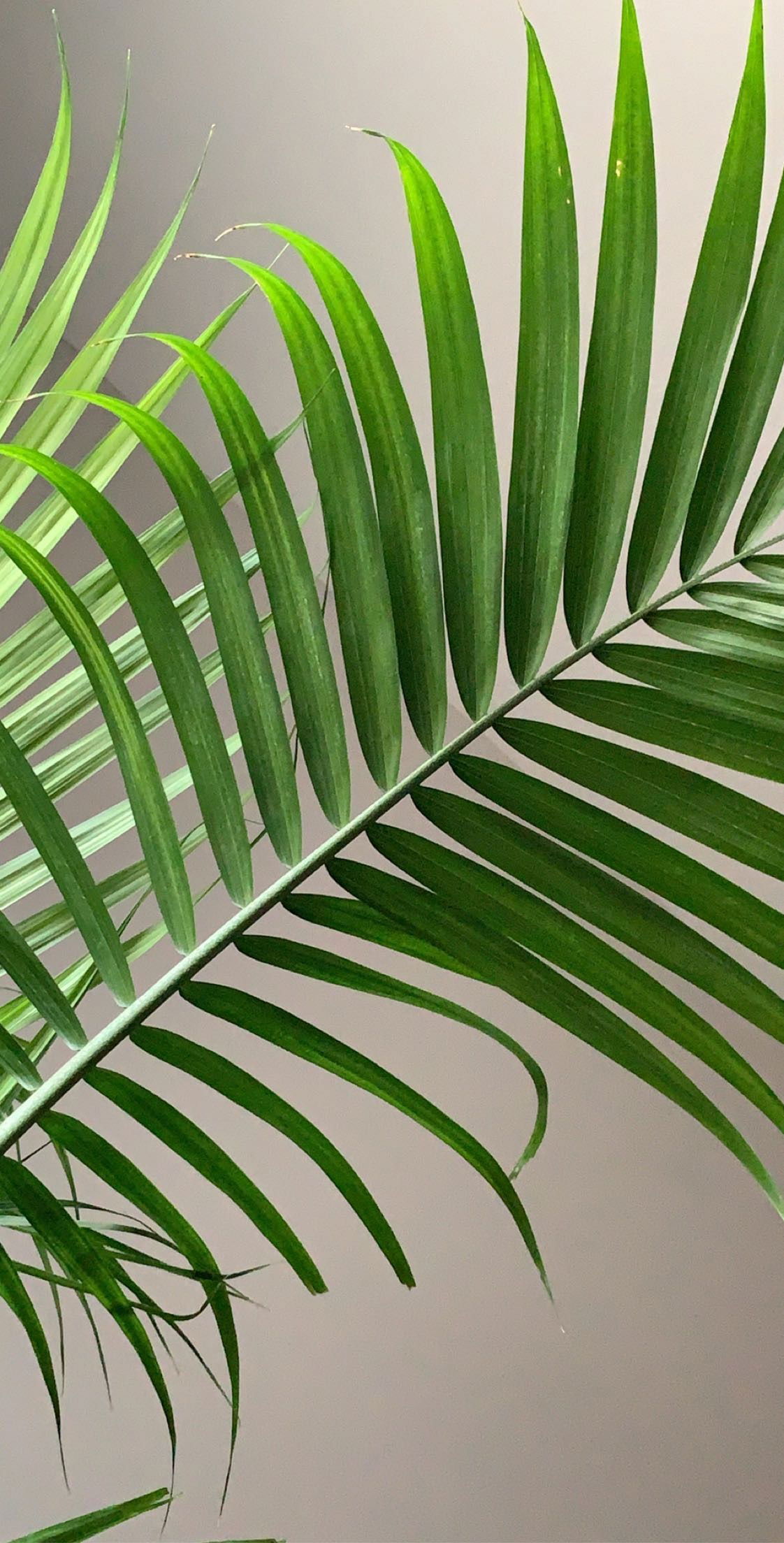 leyowild profile banner