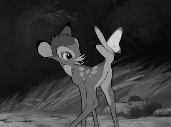 Bambi profile banner