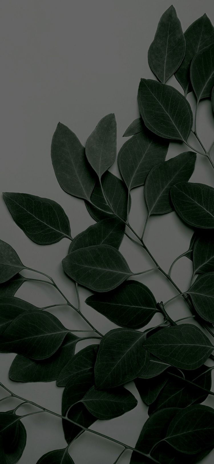 m🖤 profile banner