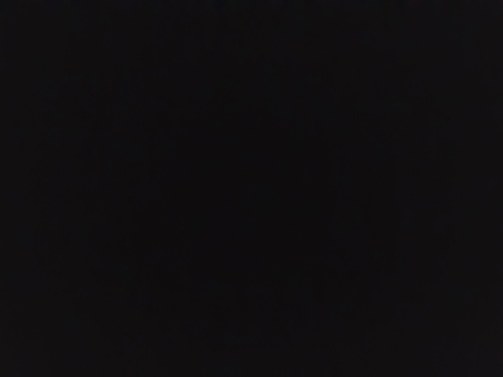 lilambervert banner