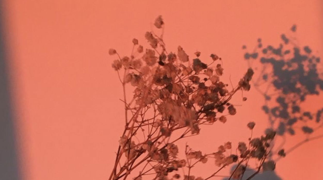 C ✨ profile banner