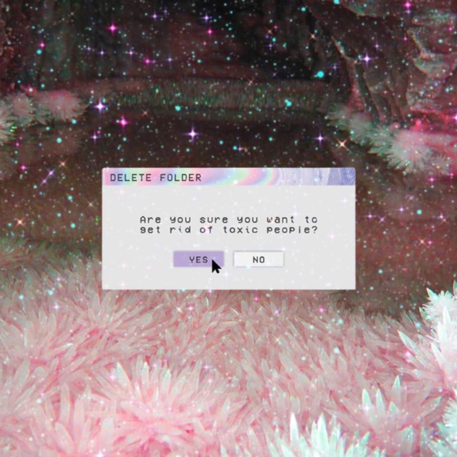 lilbeanz profile banner