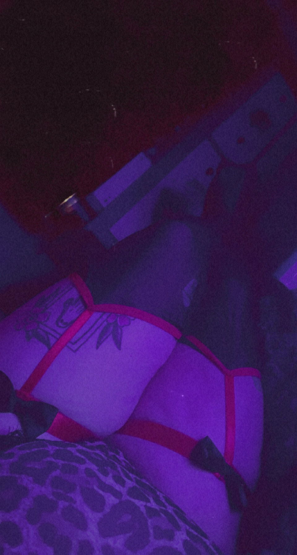 Bunny π° profile banner